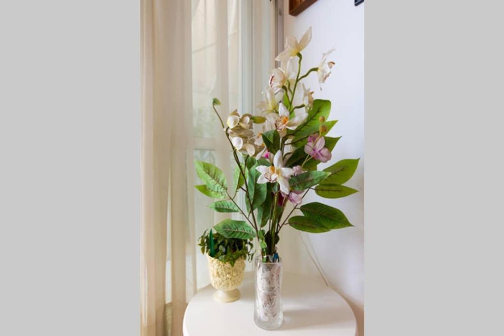 אתונה Vintage Style Apartment With Beautiful Backyard מראה חיצוני תמונה
